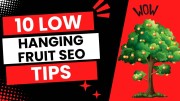 Low Hanging Fruit SEO: 11 Easy Wins for Better Rankings