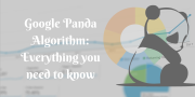 Google Panda Algorithm: Everything you need to Know