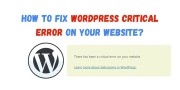 How to Fix WordPress Critical Error on your Website?