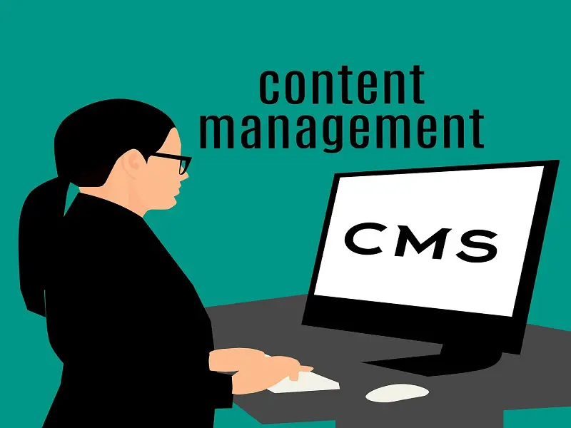 popular content management system