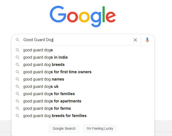 Use Google Suggestion