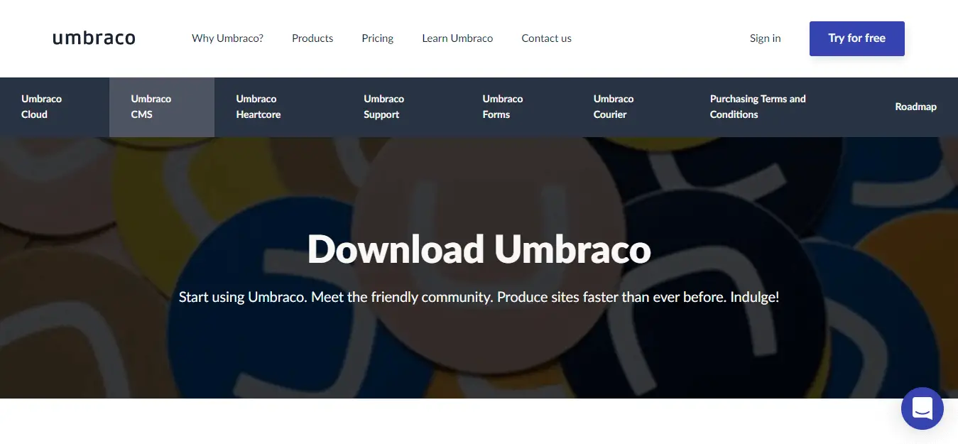 umbraco cms