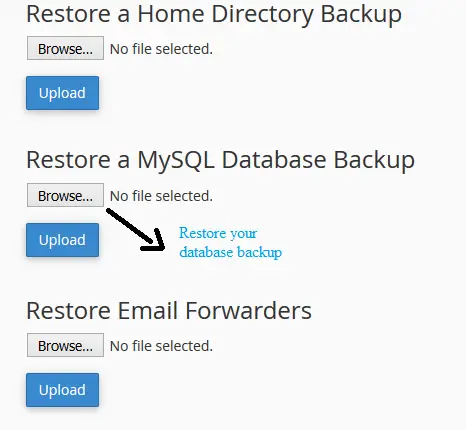 restore database backup file