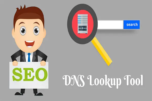 dns lookup tool