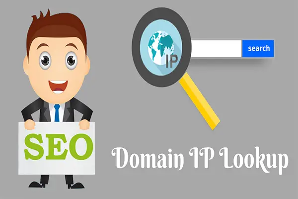 domain ip lookup