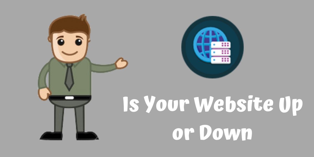 Is your Website Up or down