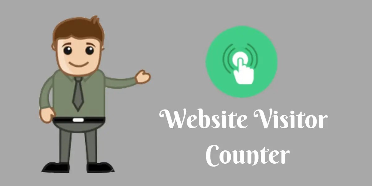 website visitor counter